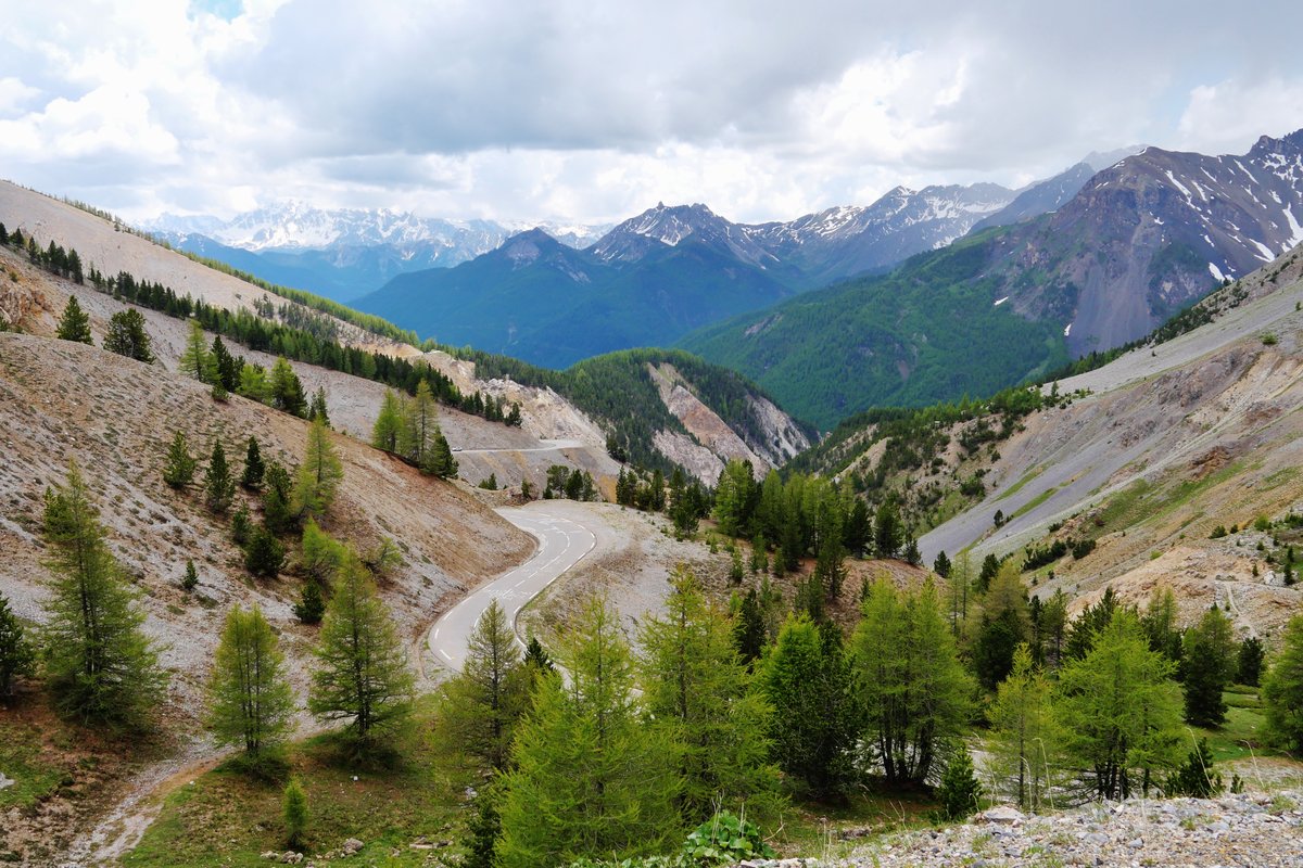 The Col d'Izoard road winding through larch trees and grey scree slopes below the pass, with snow-capped peaks in the distance